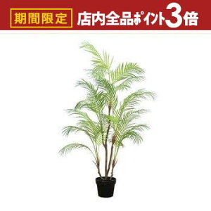 yő3,000~OFFN[|LIPT3{IubNtCf[ztFCNO[ AJV | lHA  tFCN O[ CeA JtF  lHϗtA JtFK[f 썑 