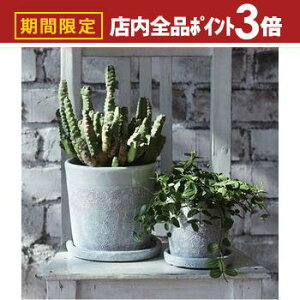 yő3,000~OFFN[|LIPT3{IubNtCf[zK[f|bg TCY2Zbg | v^[ Zbg 󂯎Mt A  A O  K[f Aؔ K[fjO |