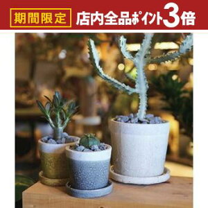 yő3,000~OFFN[|LIPT3{IubNtCf[zK[f|bg TCY2Zbg | v^[ Zbg 󂯎Mt A  A O  K[f Aؔ K[fjO |