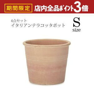 yő3,000~OFFN[|LIPT3{IubNtCf[zK[f|bg TCY4Zbg | v^[ Zbg A  A O  K[f Aؔ K[fjO |bg v