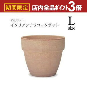 yő3,000~OFFN[|LIPT3{IubNtCf[zK[f|bg TCY2Zbg | v^[ Zbg A  A O  K[f Aؔ K[fjO |bg v