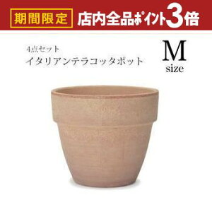 yő3,000~OFFN[|LIPT3{IubNtCf[zK[f|bg TCY4Zbg | v^[ Zbg A  A O  K[f Aؔ K[fjO |bg v