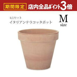 yő3,000~OFFN[|LIPT3{IubNtCf[zK[f|bg TCY4Zbg | v^[ Zbg A  A O  K[f Aؔ K[fjO |bg v