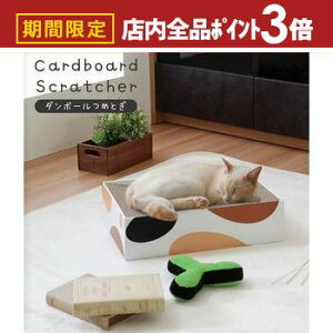 yő3,000~OFFN[|LIPT3{IubNtCf[zy11/24܂Ń|Cg3{zLp i{[܂Ƃ ~P XNGA POPȃfUC AȒf na95101mx X^UCeA