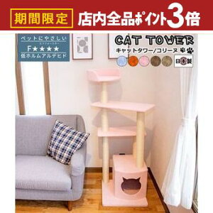 yő3,000~OFFN[|LIPT3{IubNtCf[zy{󒍐YiF[1JzLbg^[LpߋLybgpߋybg Lbg^[ Y yCollinezR[k TbN