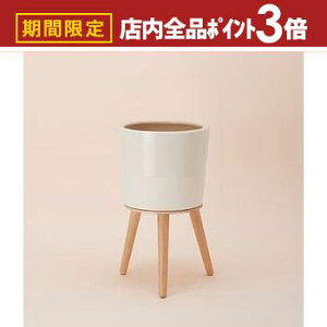 yő3,000~OFFN[|LIPT3{IubNtCf[zAؔ  Gi40 ؐrtJo[ t[X^h p AؔX^h ꌊȂ K[f|bg t[|bg 