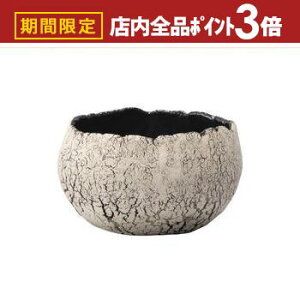 yő3,000~OFFN[|LIPT3{IubNtCf[zV L v^[ Aؔ ԕr  I IV   f fp  v^[  GgX 킢 