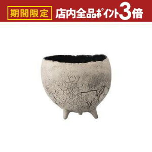 yő3,000~OFFN[|LIPT3{IubNtCf[zV L  v^[ Aؔ ԕr  I IV   f fp  v^[  GgX 