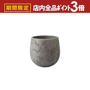 yő3,000~OFFN[|LIPT3{IubNtCf[zv^[ ^  DF O[ 傫 O ^v^[ ̖킢 yg{ES v^[|bg 唫 Aؔ i`