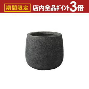 yő3,000~OFFN[|LIPT3{IubNtCf[zv^[ ^  傫 O ^v^[  厩R̉c AXeBEh a55cm v^[|bg 唫 Aؔ i