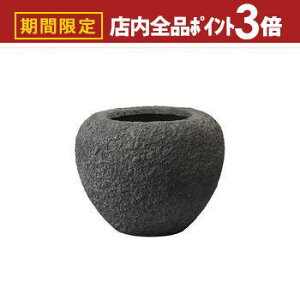 yő3,000~OFFN[|LIPT3{IubNtCf[zv^[ ^  傫 O ^v^[  a53cm v^[|bg 唫 Aؔ i` Jo[ O y 