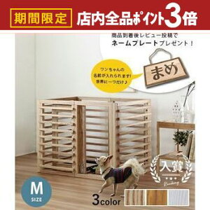 yő3,000~OFFN[|LIPT3{IX[p[SALEzybgP[W MTCY TCY߉^Cv | ybgQ[W hbOP[W hbOQ[W ybg ybgT[N   Vv 