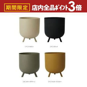 yő3,000~OFFN[|LIPT3{IX[p[SALEz^v^[ Aؔ  v^[ ^ tF Mbh AC{[ ubN I[uO[ }X^[hCG[  킢