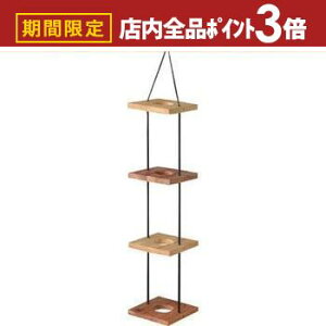 yő3,000~OFFN[|LIPT3{IubNtCf[znMOv^[4i ݂艺 v^[X^h 4A 4D Aؔ ݂艺 A v^[ O[ ϗtA  C