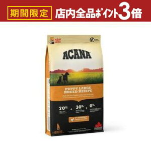 yő3,000~OFFN[|LIPT3{IubNtCf[zAJi Lbg hbO   hbOt[h Lbgt[h ybgt[h  L L ybg  L  hC 