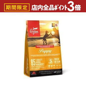 yő3,000~OFFN[|LIPT3{IubNtCf[zIW Lbg hbO   hbOt[h Lbgt[h ybgt[h  L L ybg  L  h