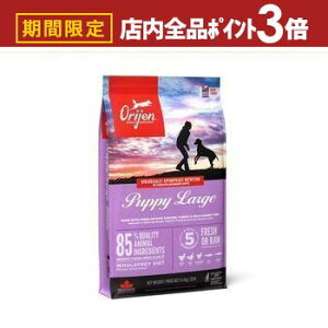 yő3,000~OFFN[|LIPT3{IubNtCf[zIW Lbg hbO   hbOt[h Lbgt[h ybgt[h  L L ybg  L  h