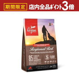 yő3,000~OFFN[|LIPT3{IubNtCf[zIW Lbg hbO   hbOt[h Lbgt[h ybgt[h  L L ybg  L  h