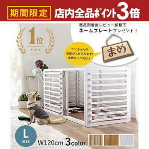 yő3,000~OFFN[|LIPT3{IubNtCf[zy11/24܂Ń|Cg2{zybgP[W LTCY TCY߉^Cv | Q[W  ybgT[N   ؐ ybgQ[W hA