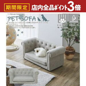 yő3,000~OFFN[|LIPT3{IubNtCf[zybg\t@[ | ybg\t@[  L ybgxbh ybgpƋ ybg\t@ ybgƋ H ˂  ɋ \t@[