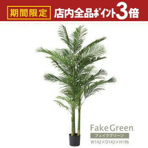 yő3,000~OFFN[|LIPT3{IubNtCf[ztFCNO[ | AJV GRN-19 CeA rO _CjO K[f lHA lH ϗtA  U A R 