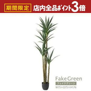 yő3,000~OFFN[|LIPT3{IubNtCf[ztFCNO[ | AKx GRN-18 CeA rO _CjO K[f lHA lH ϗtA  U A R 