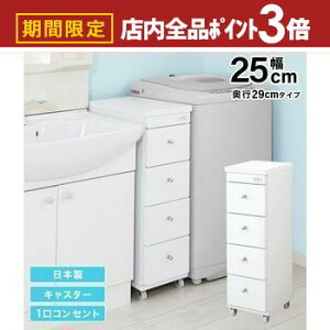 yő3,000~OFFN[|LIPT3{IubNtCf[zԃS ܃S ʏ h[ [ 25cm { i LX^[t RZg ʏ h[ X ^