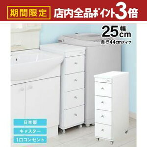 yő3,000~OFFN[|LIPT3{IubNtCf[zԃS ܃S ʏ h[ [ 25cm { i LX^[t RZg ʏ h[ X ^