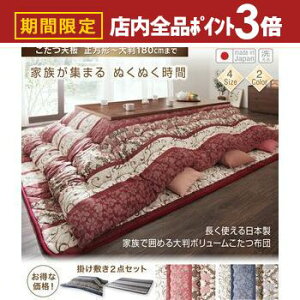 yő3,000~OFFN[|LIPT3{IubNtCf[zzcZbg g{ Ƒň͂߂唻{[zc 났 |zc&~zc2_Zbg 5ڒ`(90×150cm)V