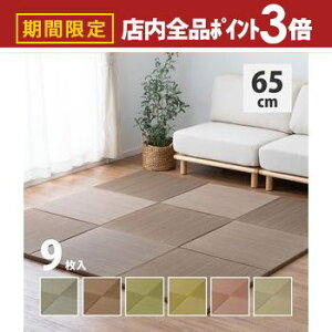 yő3,000~OFFN[|LIPT3{IubNtCf[zJ[̑Iׂyʒu э 9Zbg 65×65×2.5cm u jbg yʃ^Cv tA }bg  a_ a m