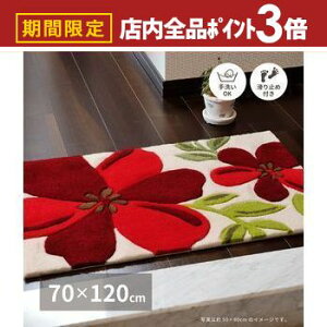 yő3,000~OFFN[|LIPT3{IX[p[SALEzփ}bg Ax 70×120cm փ}bg }bg   O CeA  Vv k _ J[ybg O ~ 􂦂 