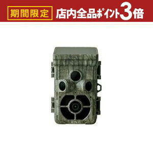 yő3,000~OFFN[|LIPT3{IubNtCf[zLbgVXeY ZT[J AT-2 | dr \[[obe[ZT[J