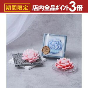 yő3,000~OFFN[|LIPT3{IubNtCf[zA}Lh A}t[Lh mercyu V[[ tOX t[ bNXACe  낤 C 