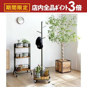 yő3,000~OFFN[|LIPT3{IubNtCf[z[JSt |[nK[ pCEbh×ACA 137cm R[gnK[ nK[|[ nK[bN Xq  Xq| 