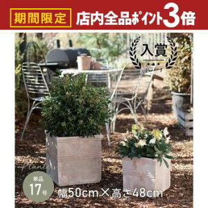 yő3,000~OFFN[|LIPT3{IubNtCf[z^ v^[ 17 | v^[ ^ Aؔ  K[f|bg A Vv L[u _ AeB[N K[f K[f