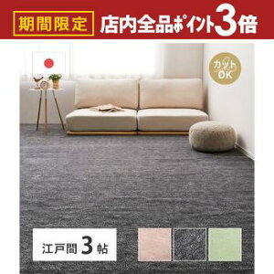 yő3,000~OFFN[|LIPT3{IubNtCf[zJ[ybg 3 ]ˊ 176×261cm O 3TCY 3p zbgJ[ybgΉ ~߂Ȃ g[Ή gΉ ybg ybgΉ 