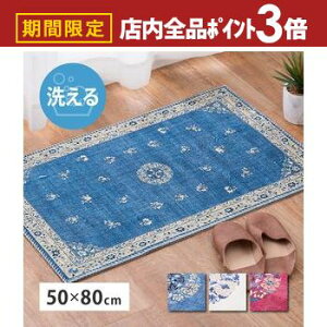 yő3,000~OFFN[|LIPT3{IubNtCf[zփ}bg 50×80cm ]ʃvg |GXe ~ @OK zbgJ[ybgEg[Ή VmYfUC  m 