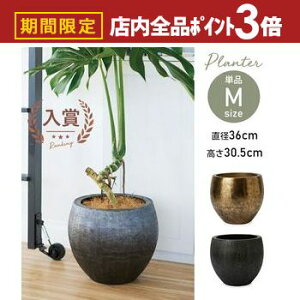 yő3,000~OFFN[|LIPT3{IX[p[SALEz^ ^v^[ v^[  Aؔ  ItBX r AeB[NS[h ~NubN   CeA 뉀 | ze i