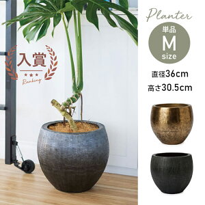 yő3,000~OFFN[|LIPT3{IX[p[SALEz^ ^v^[ v^[  Aؔ  ItBX r AeB[NS[h ~NubN   CeA 뉀 | ze i