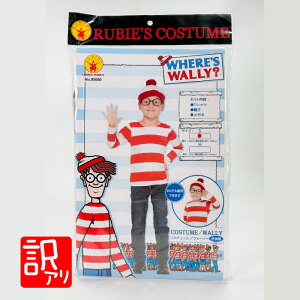 y󂠂Z[zyyz[r[YWp ~J/EH[[@qpSTCY@100`120cm@NO.95680