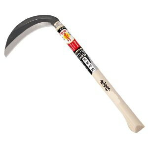 Si|Cg10{ LR N}bNX|  HTS-5061 L/L