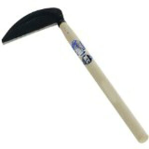 yő7%OFFN[|z(ō|t) 02072 ؍H