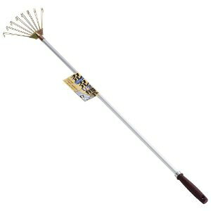 Si|Cg10{ JJ U^F(A~pCv) 10115 ؍H