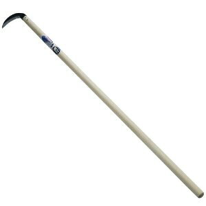 (n|)LmR抙() 16055 ؍H