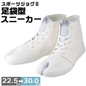 ܌^ Xj[J[ X|[cWO2   X|[c g[jO zCg ی