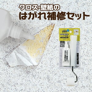 Si|Cg10{ NX C ǎ̂͂CZbg ̂ [[t WPA-01  XR[L