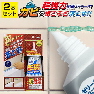 _݌v5{˔j^ Jr u[[[ TU-31BJ 2{Zbg Jr XR[L yz