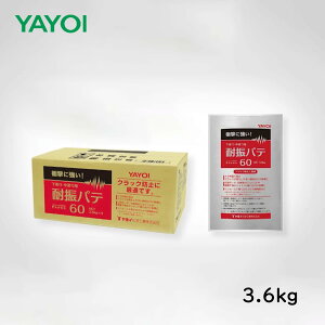 ヤヨイ化学 耐振パテ60