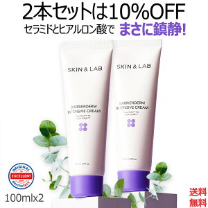 2{Zbg oA_[ CXgN[_2nd 100ml Ղg邨Zbg  SKINLAB {XgA ig SNSŘb̃tFCXN[