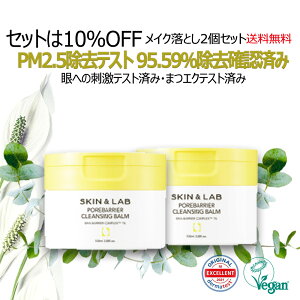 |AoA NWOo[ 100ml 2Zbg SKINLAB {XgA CN1 NWO }cGNOK }bT[WŃbNX